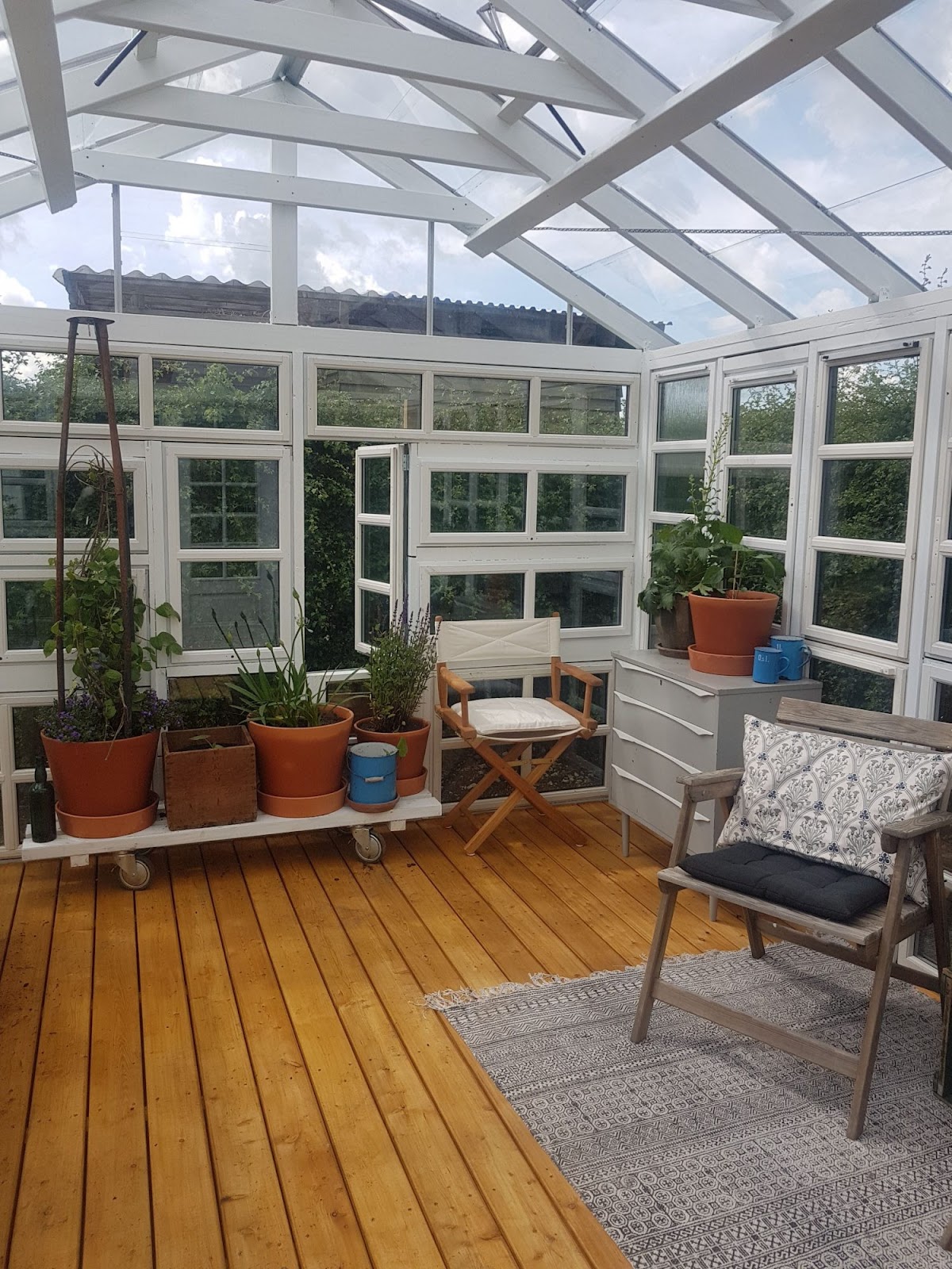 Orangeri - kolonihage