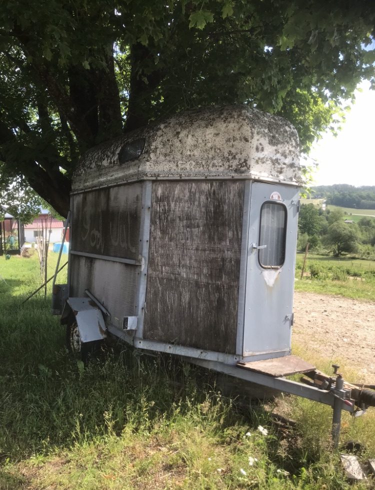 Fra hestetransport til badstuetransport