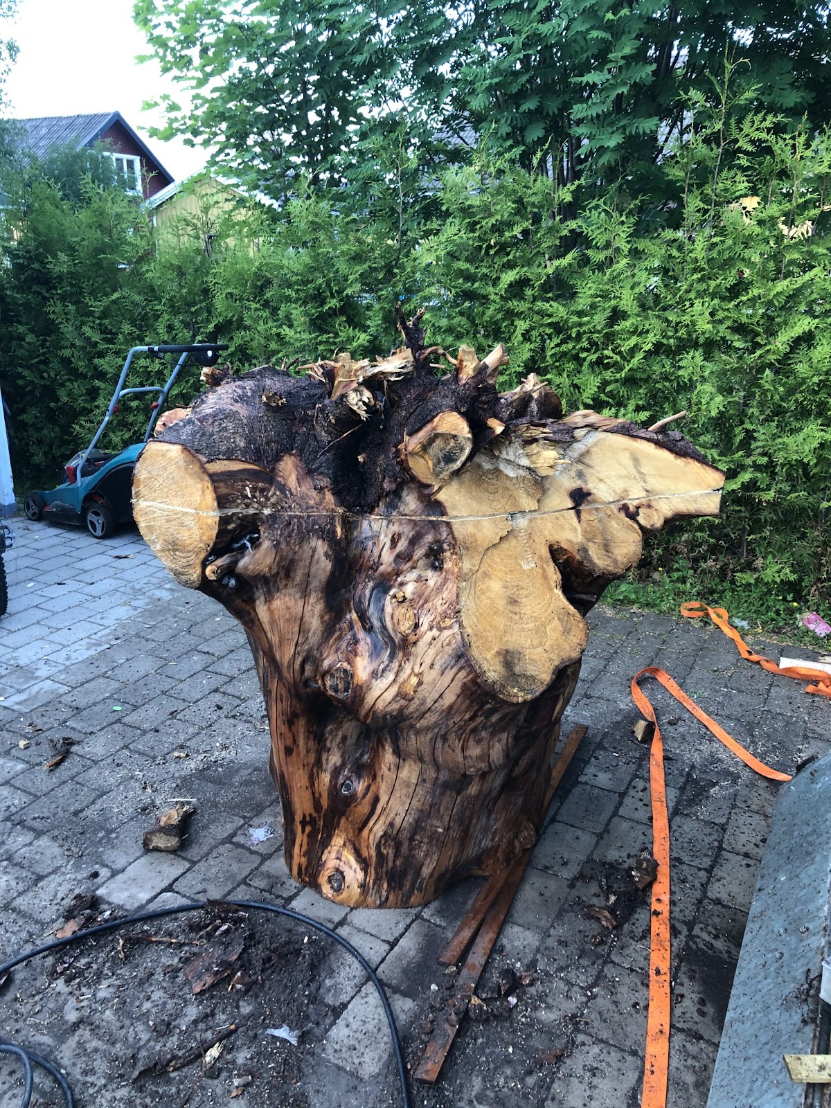 Terrasse og et stort utebord av en stor gran