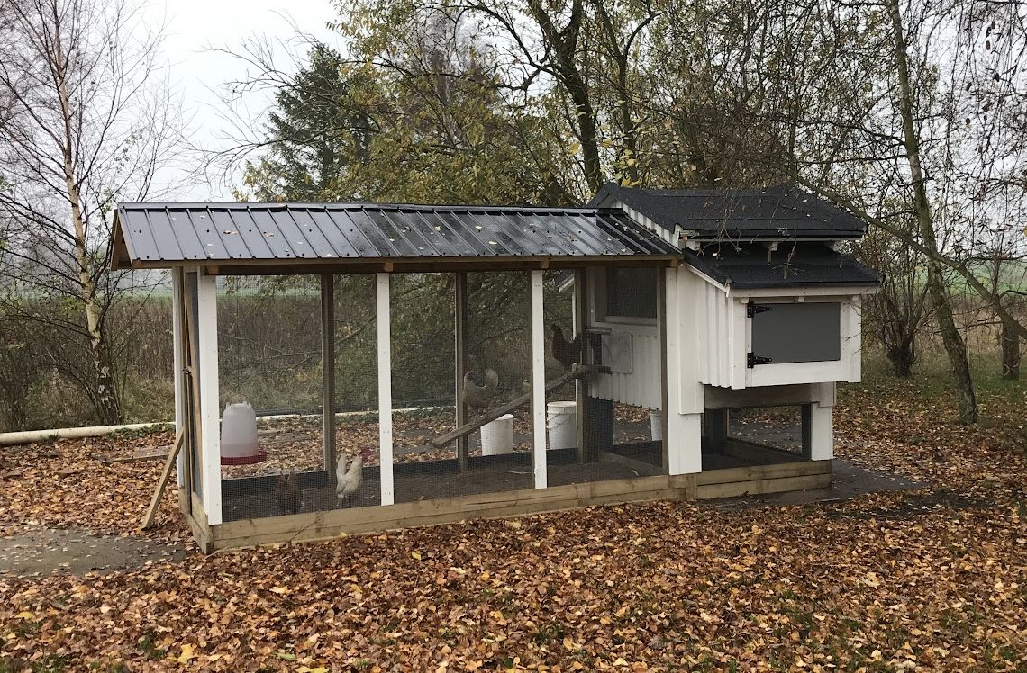 Avansert hønsehus