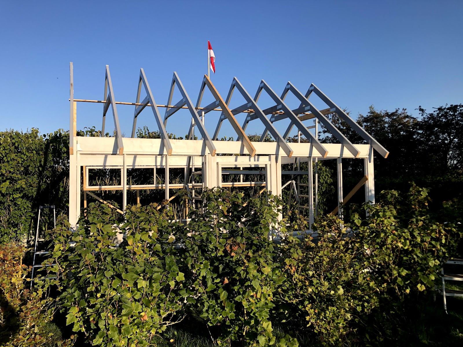 Trädgårdshus från grunden