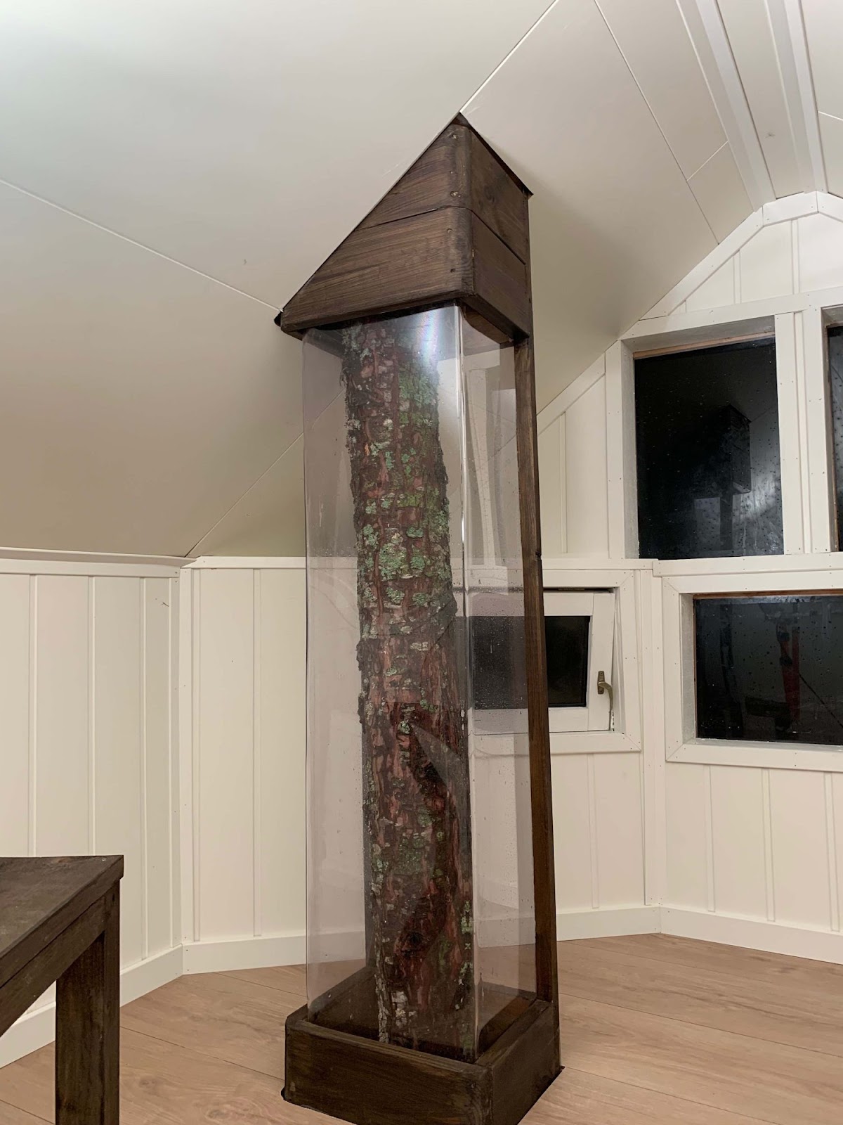 Drömlekstuga i trädet!