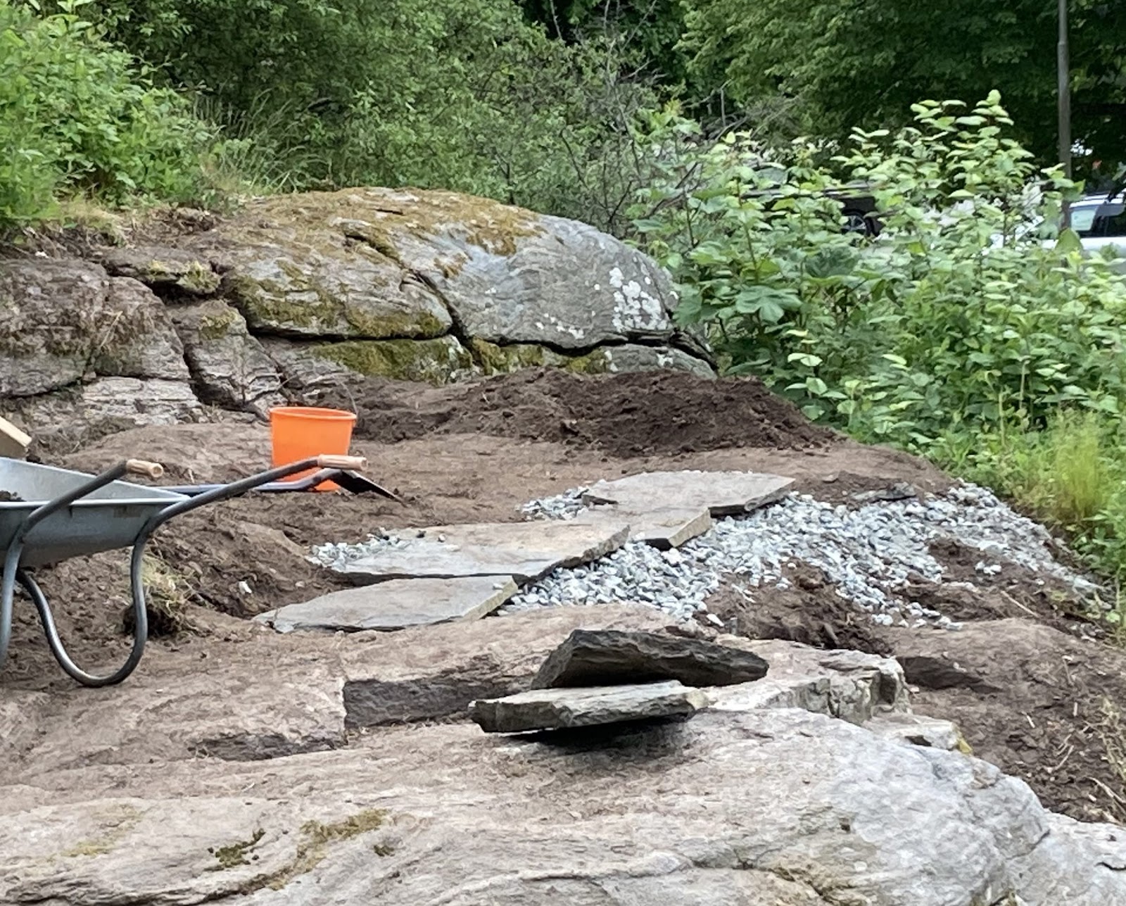 Vildvuxet Kompostområde