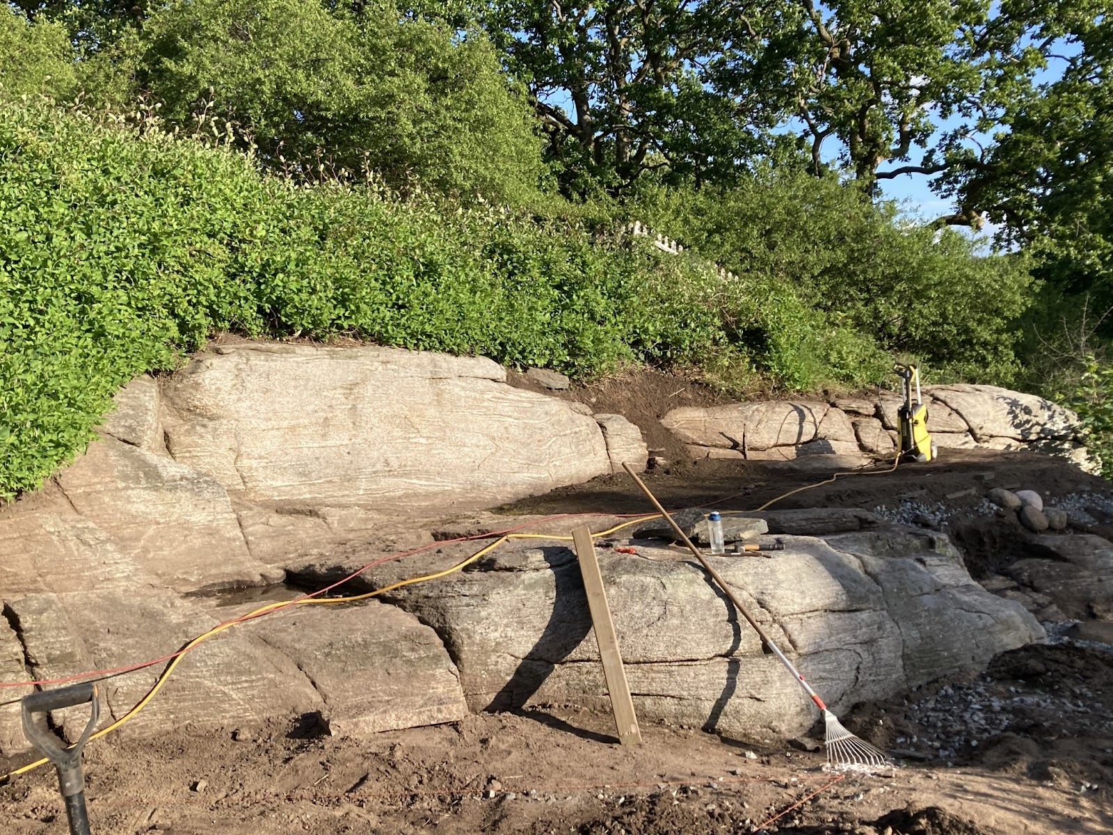 Vildvuxet Kompostområde