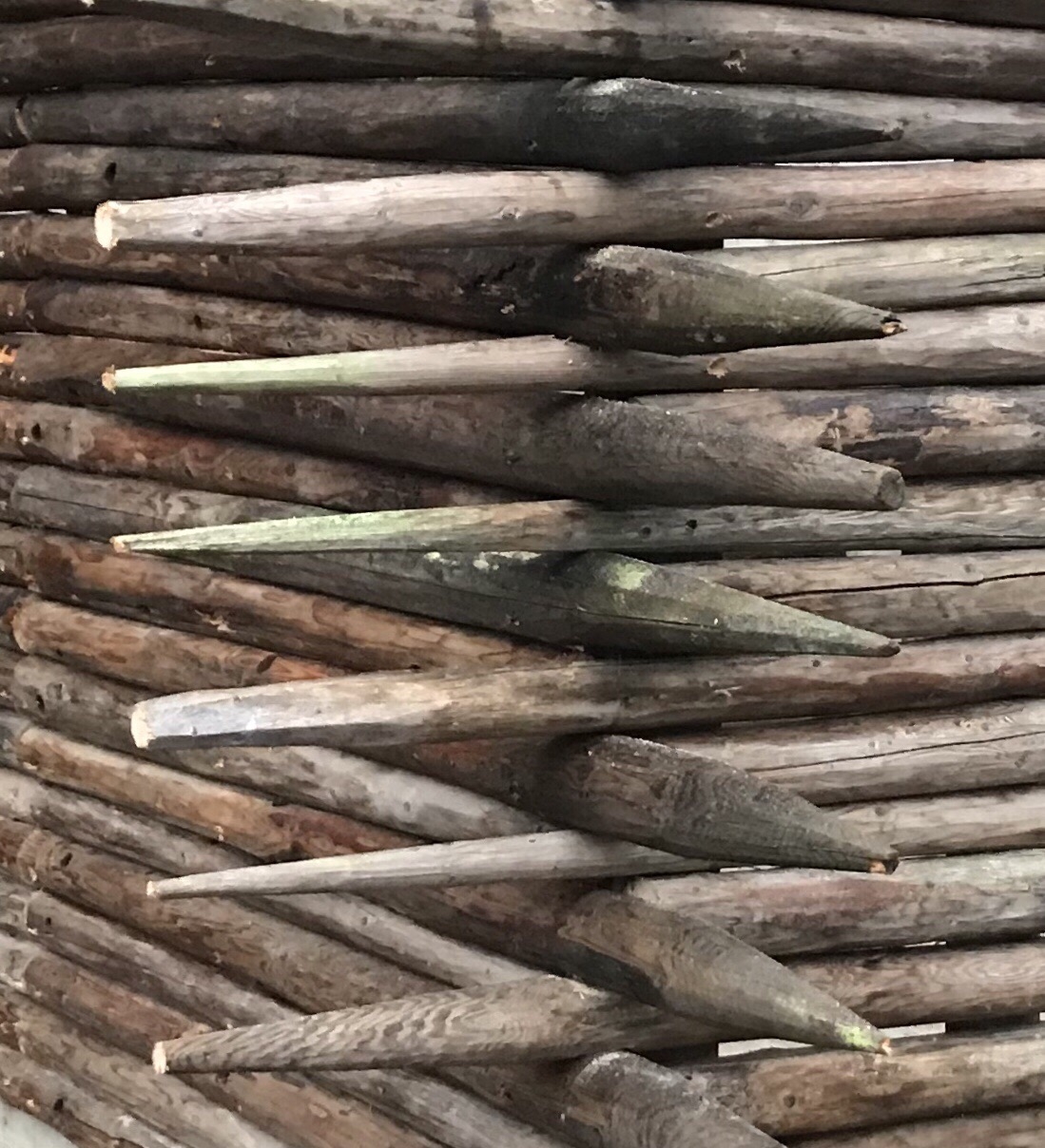 Vindskydd med spetsiga takbjälkar