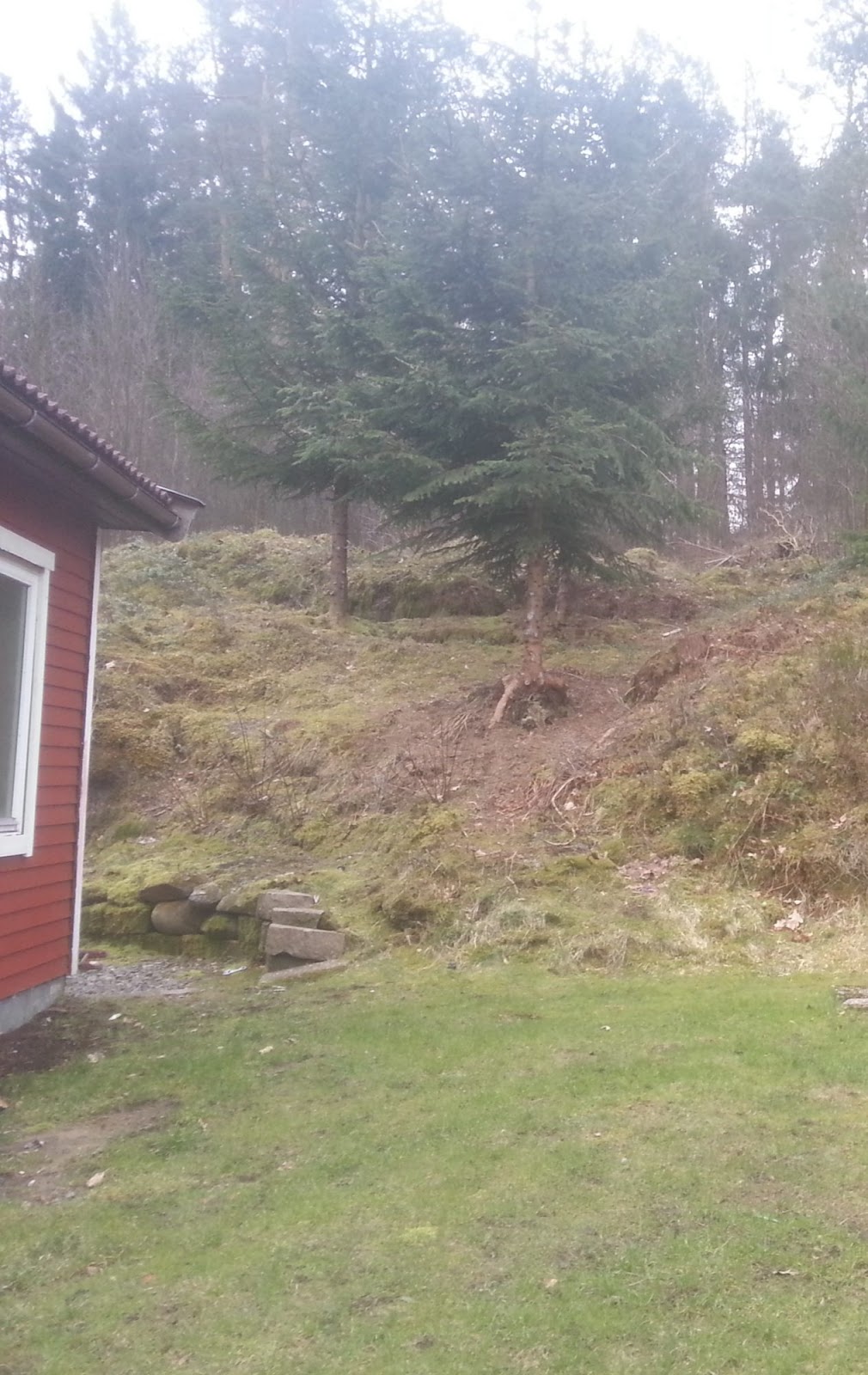 Trappa med tillhörande trädgårdsdamm och vattenfall