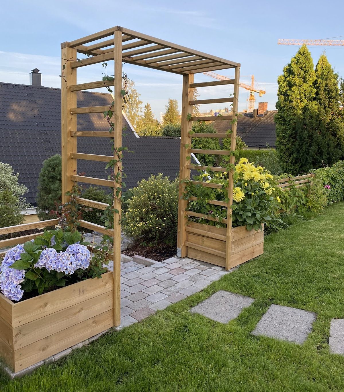 Staket med trädgårdsbåge för klätterväxter