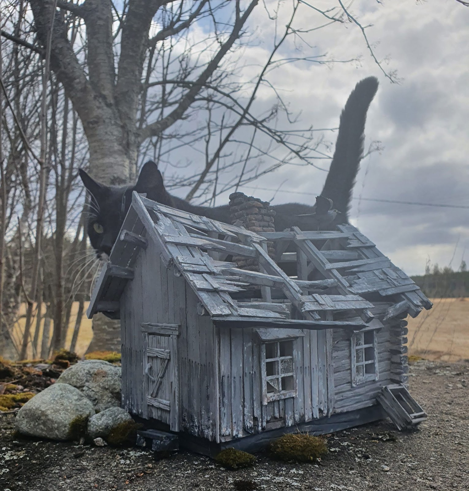 Övergiven miniatyrstuga