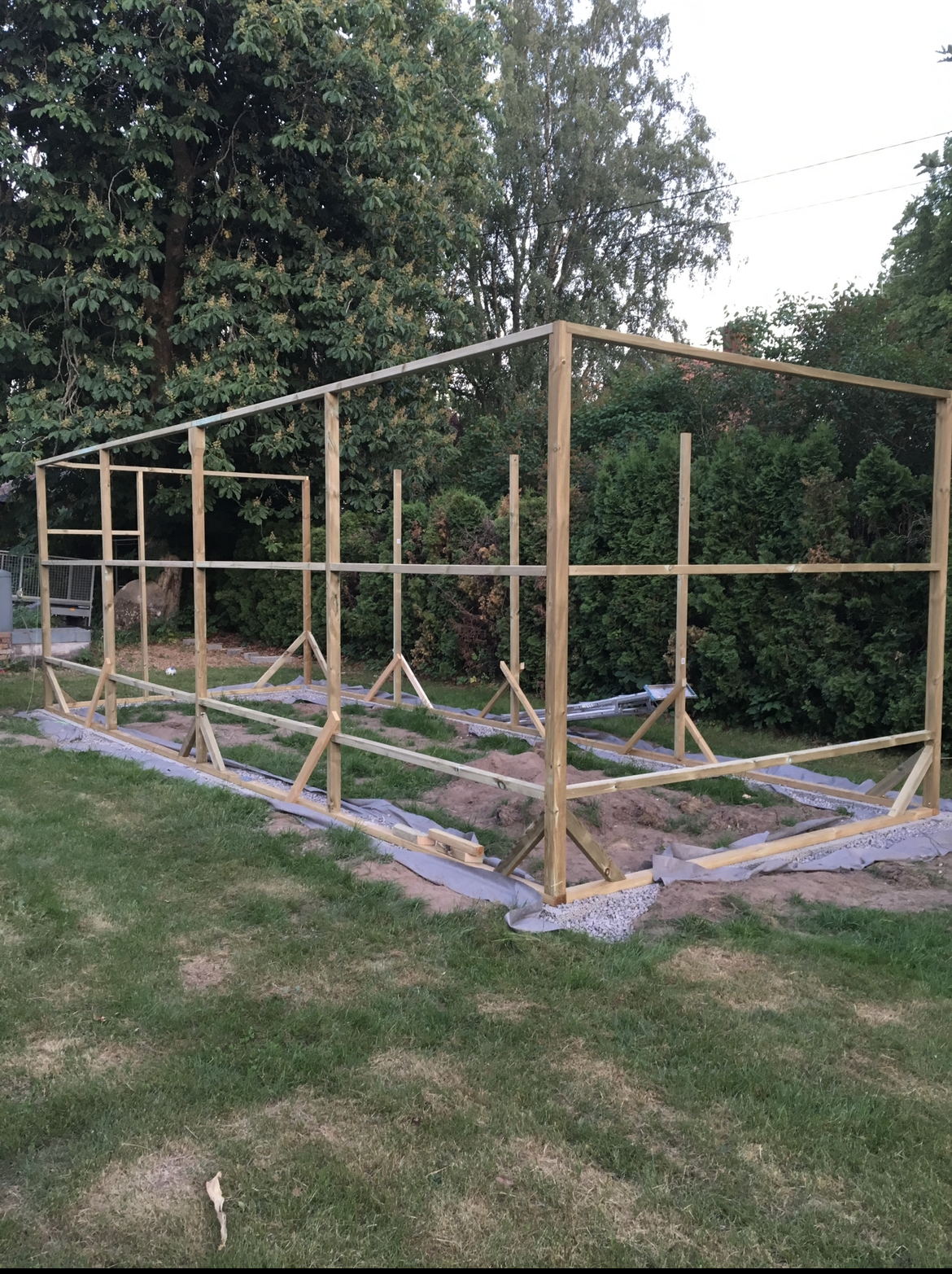 Voljär för tropiska fåglar