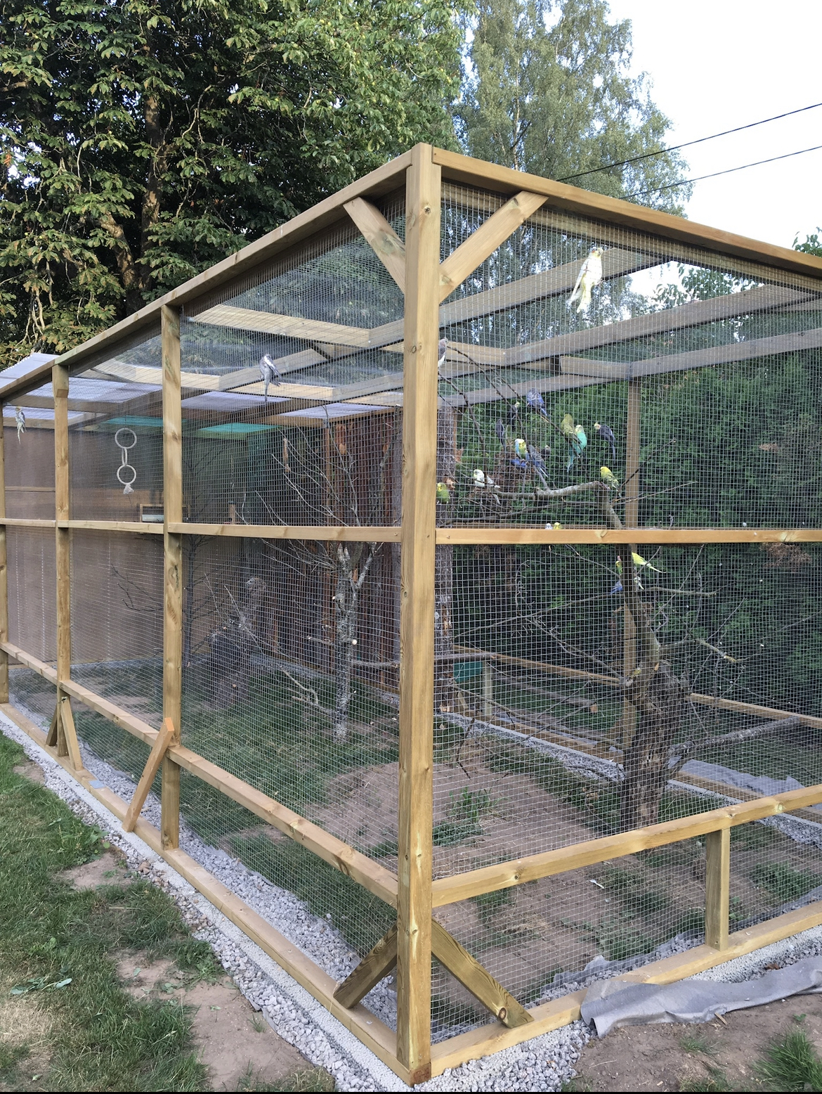 Voljär för tropiska fåglar