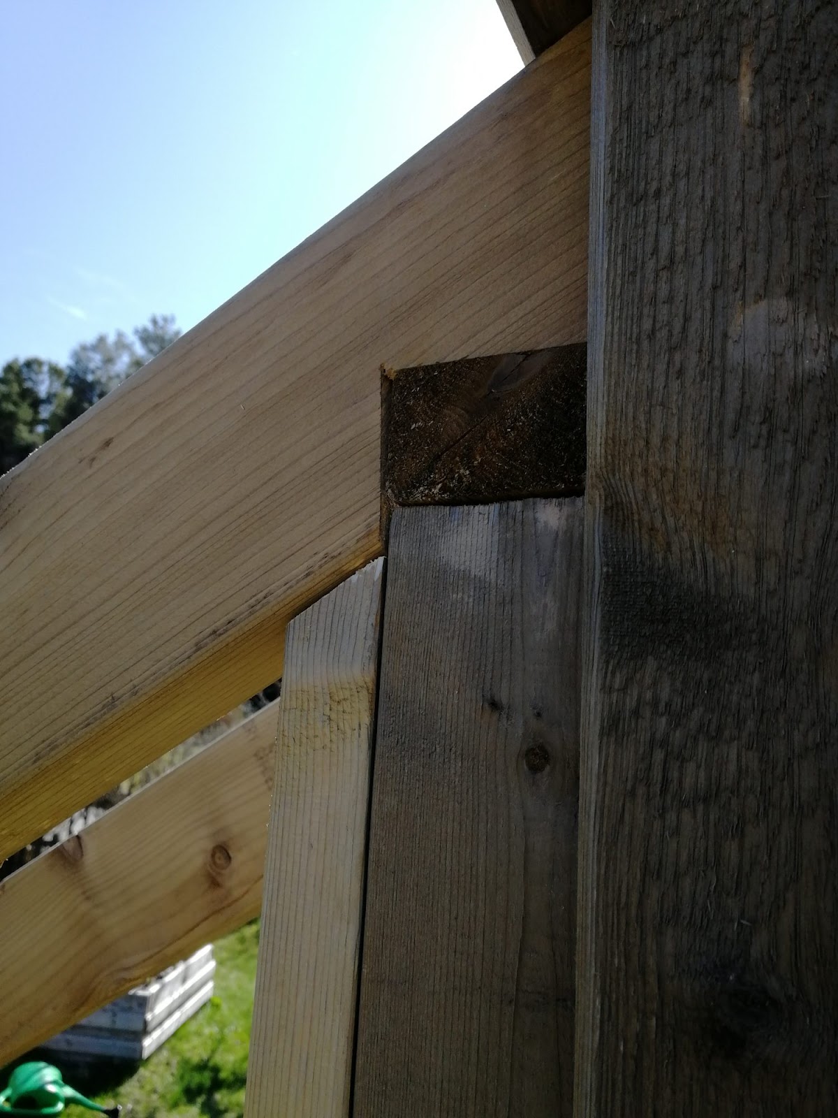 Växthus av lösvirke