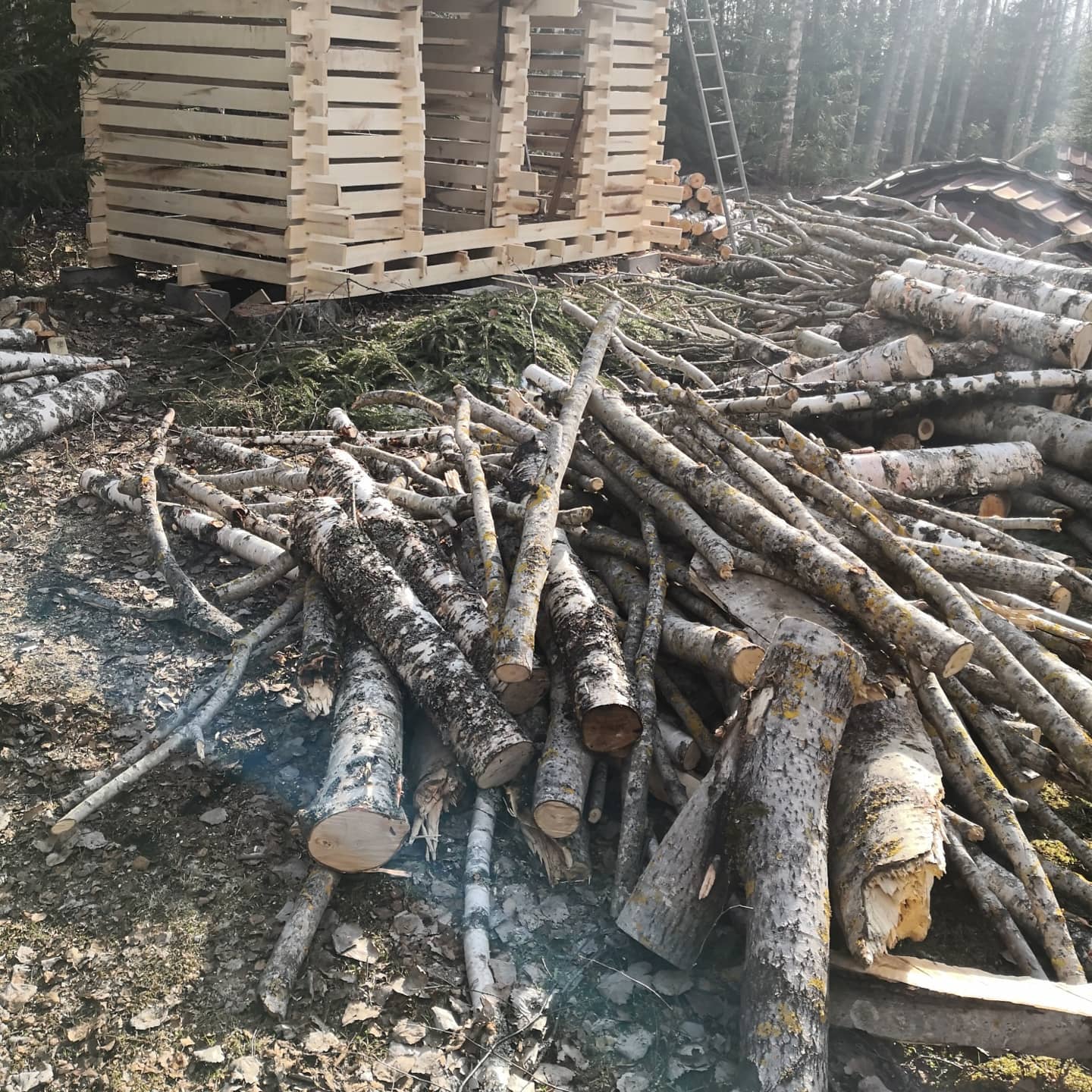 Vedbod med gott om frisk luft till veden