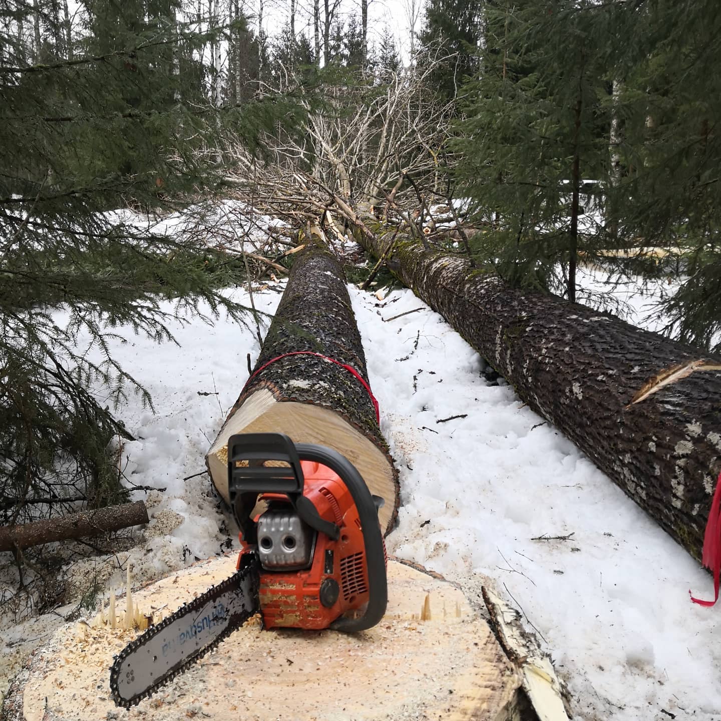 Vedbod med gott om frisk luft till veden
