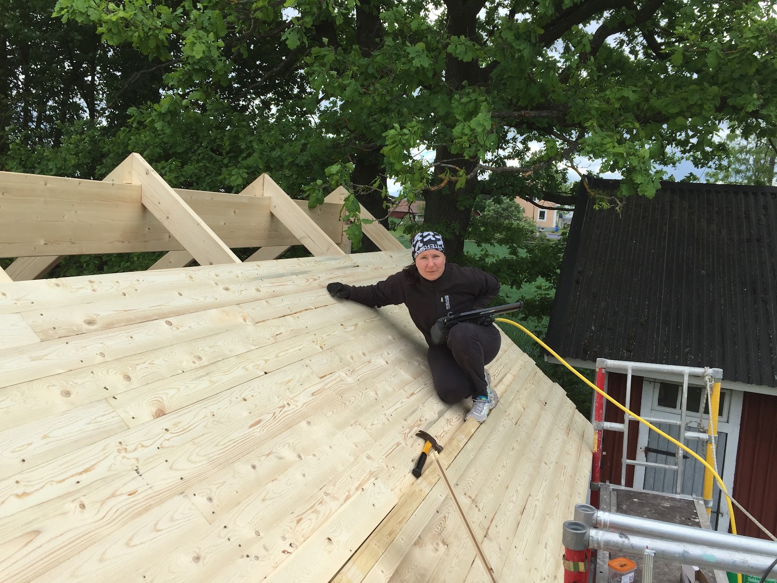 Orangeridrömmen i lösvirke och gamla fönster