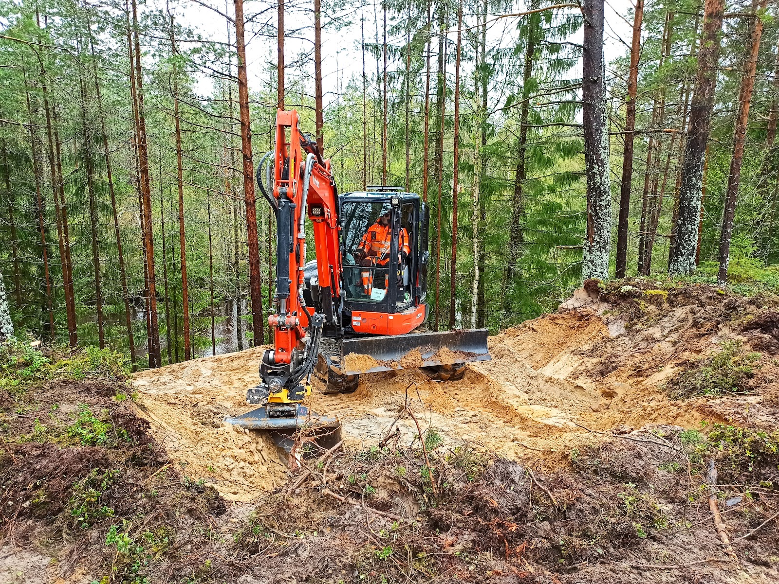 Rustikt vindskydd av tjocka stammar