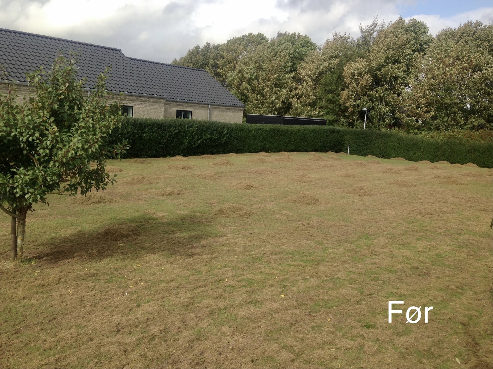 Mysig hörna med öppen spis