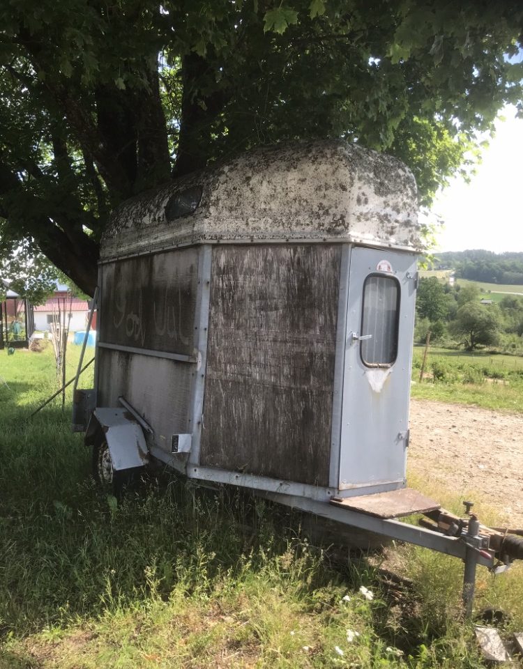 Från hästtransport till bastutransport