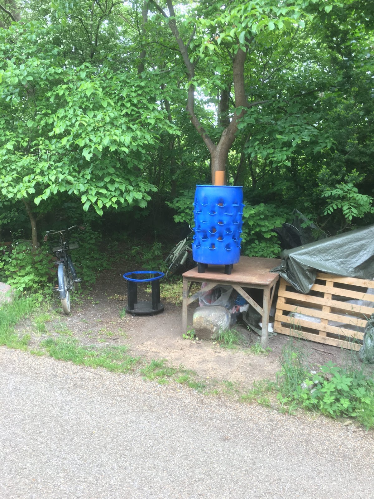 Planthus för växthuset