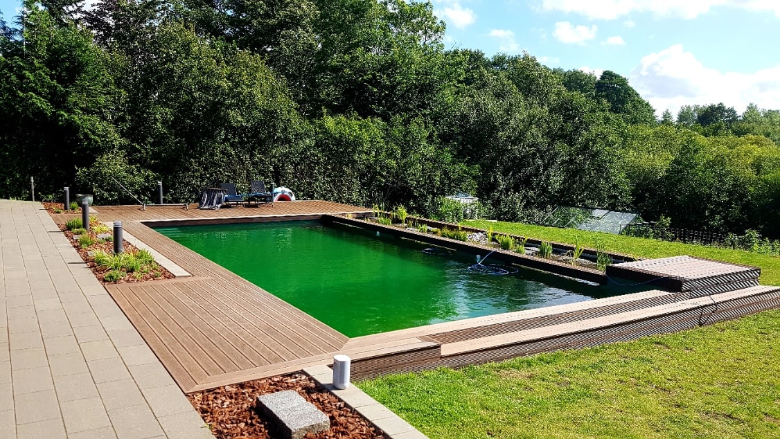 GDS Naturpool i trädgården