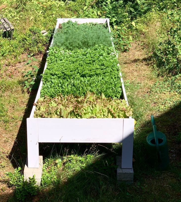 Upphöjd höjdbädd av gamla sängar