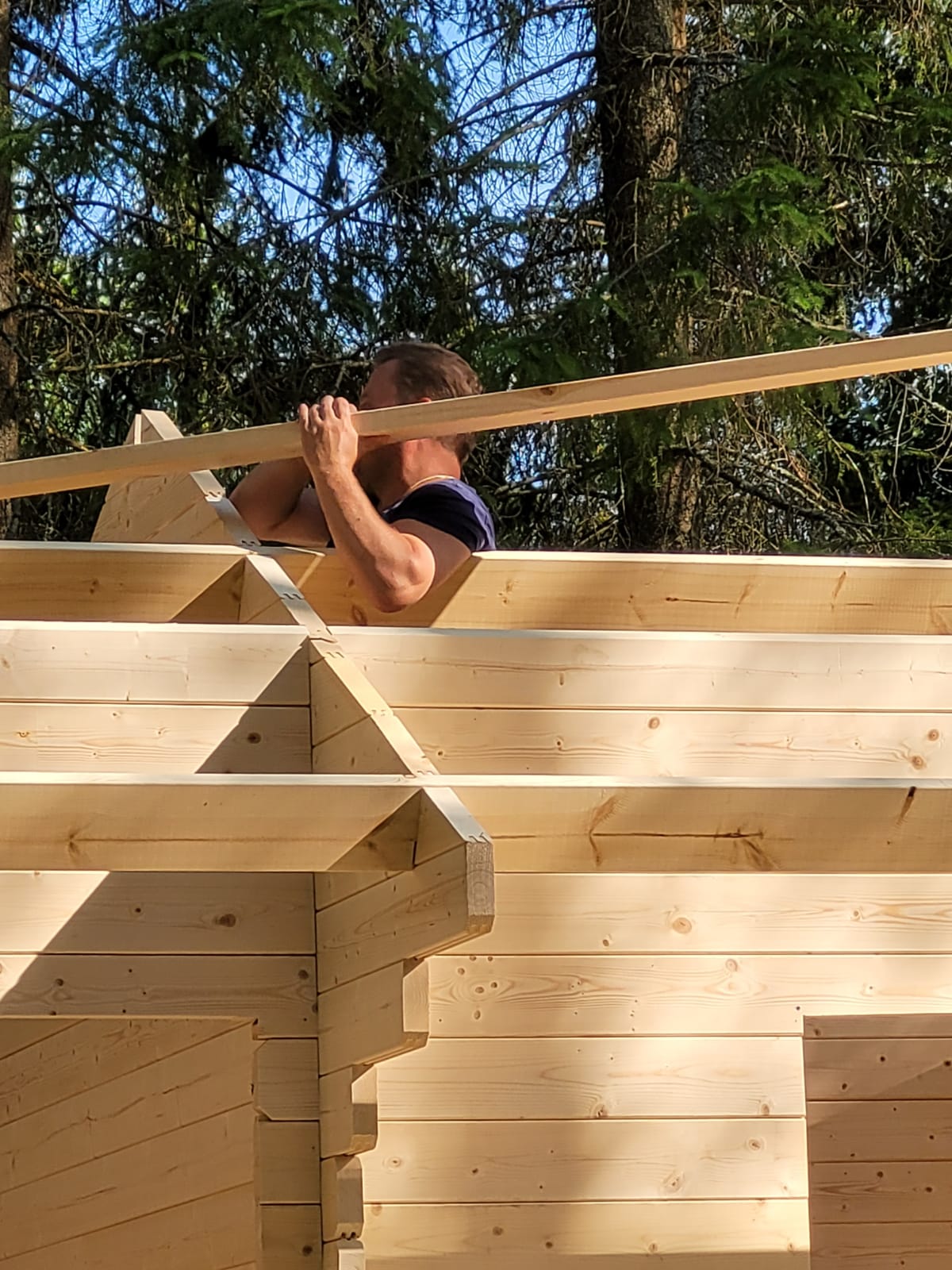 Liten trästuga med två rum