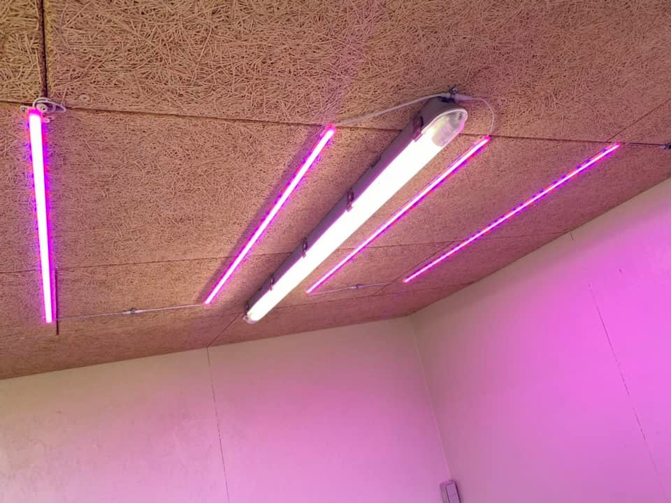 Nytt trädgårdsskjul