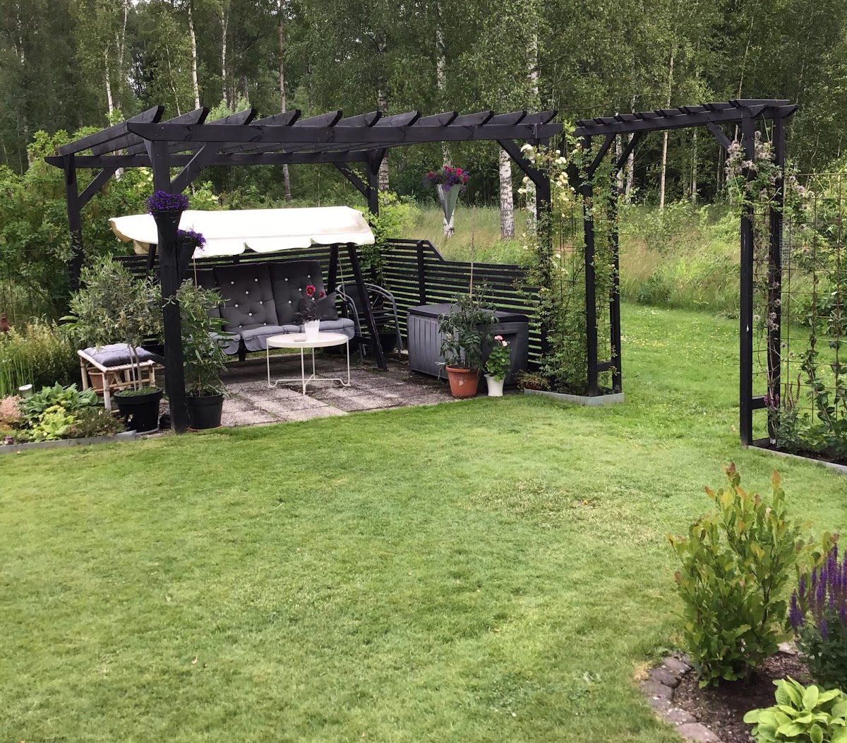 Pergola o rosbåge