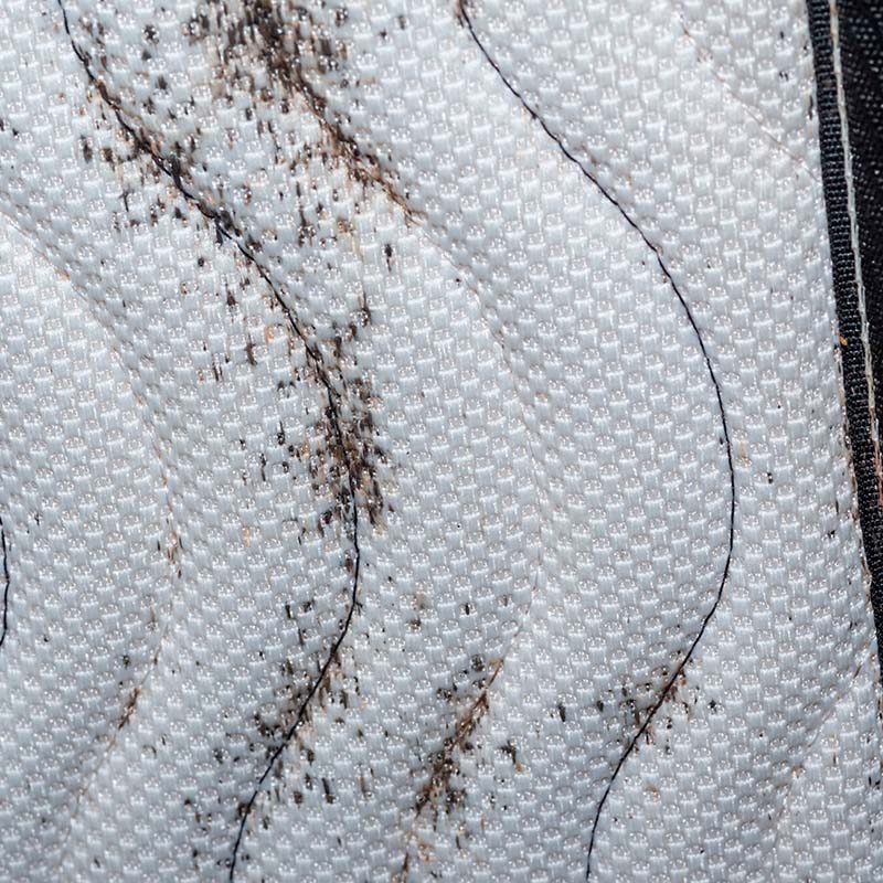 Ekskrementer fra veggelus i madrass