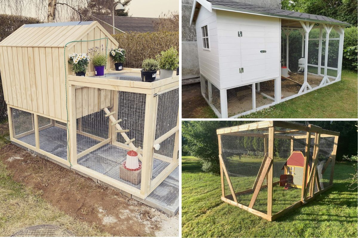 Hønsehuse - billeder, ideer og inspiration
