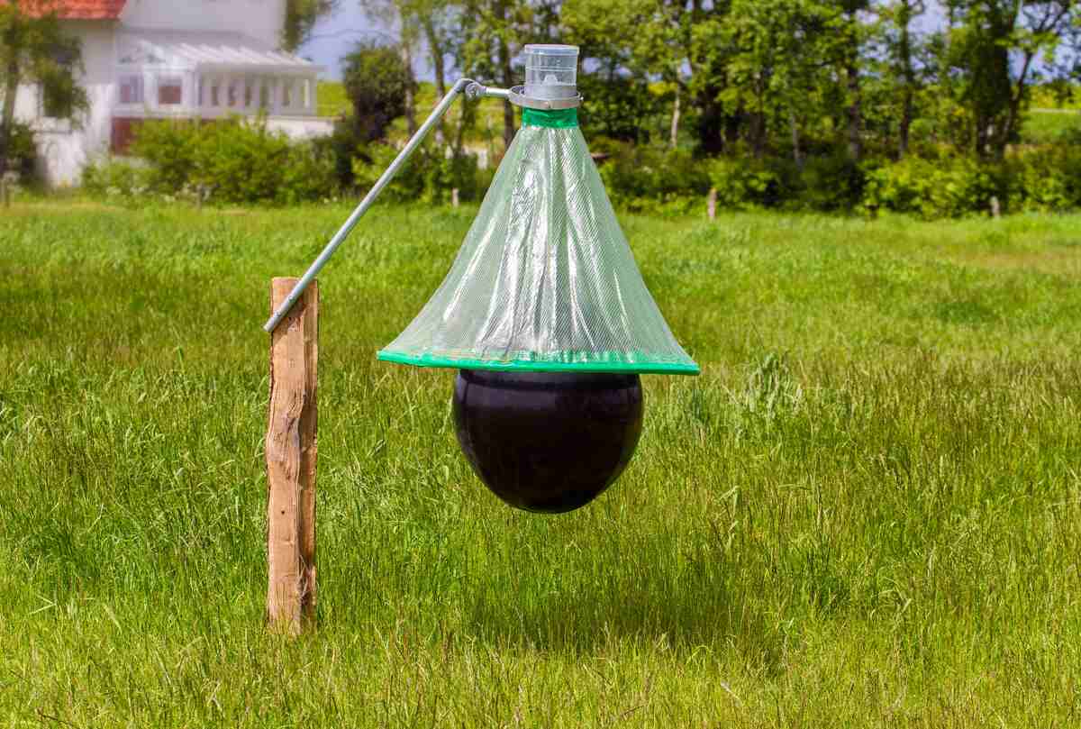 Hestebremsefælde er stillet op ved hestefold