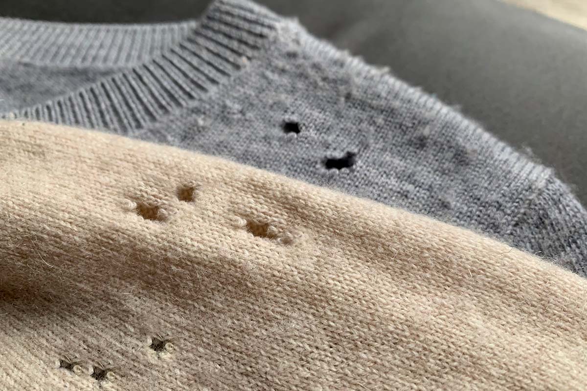 Klædemøl larver: Små huller møl i tøj
