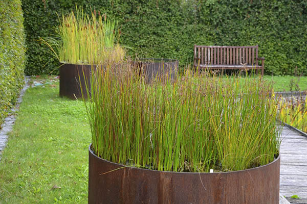 Højbede cortenstål