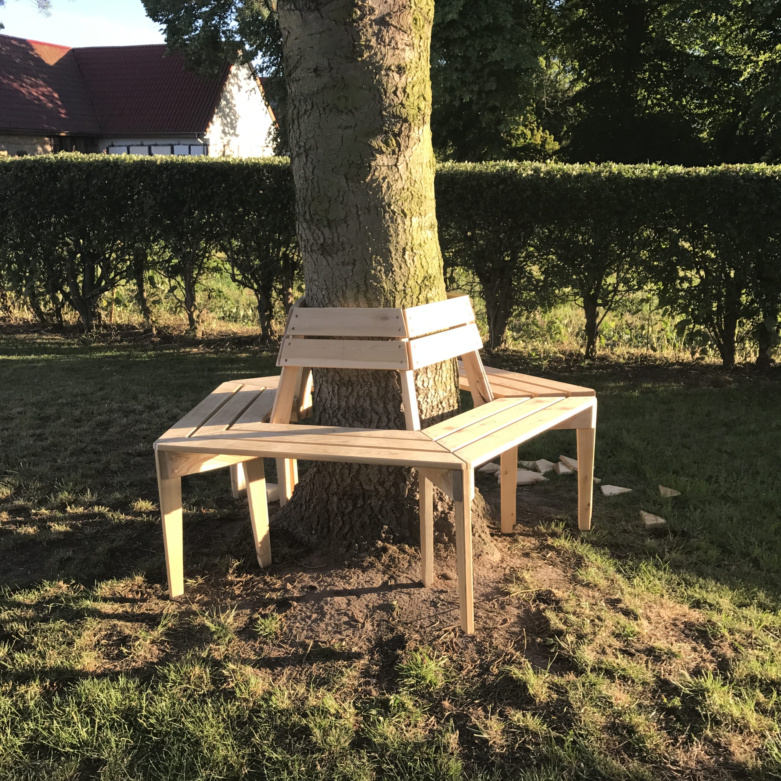 Pentagonformet benk rundt treet