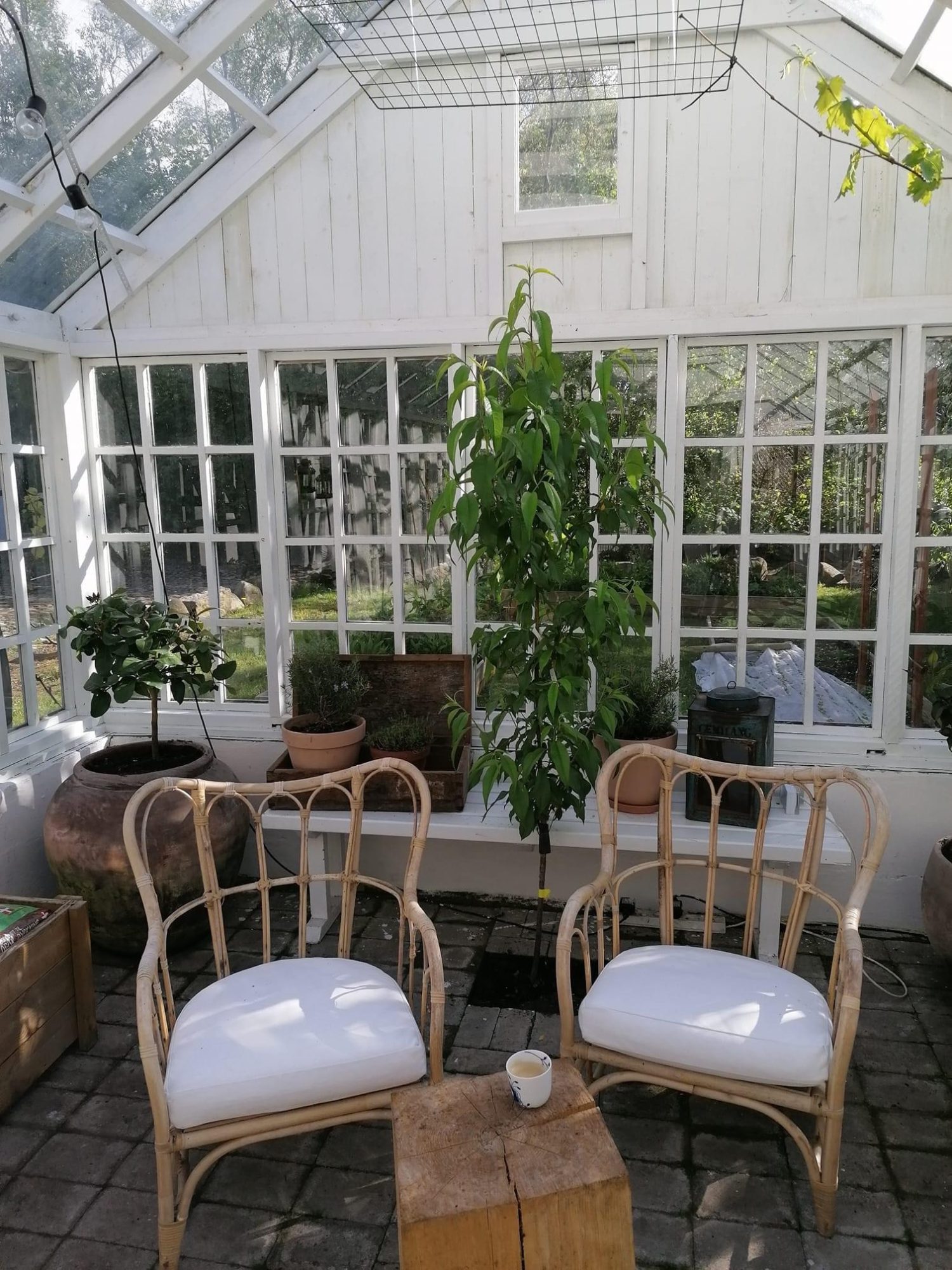 Orangeri av återvunnet material