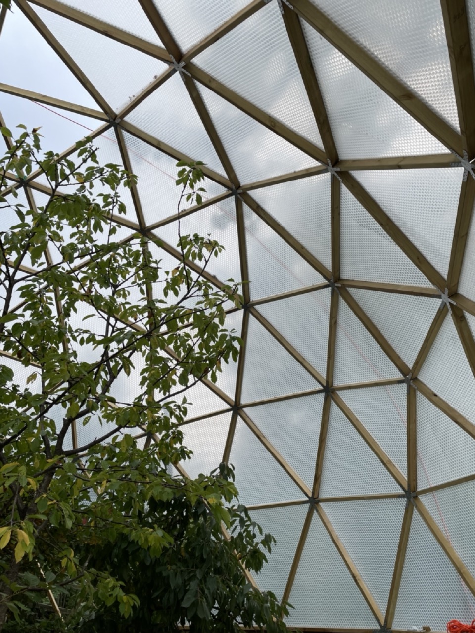 Kupolväxthus till frukt och bär