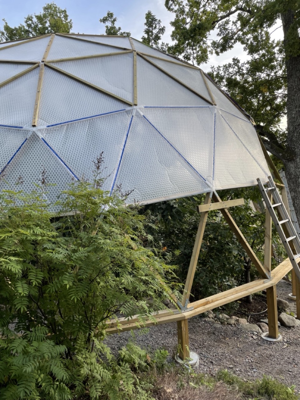 Kupolväxthus till frukt och bär