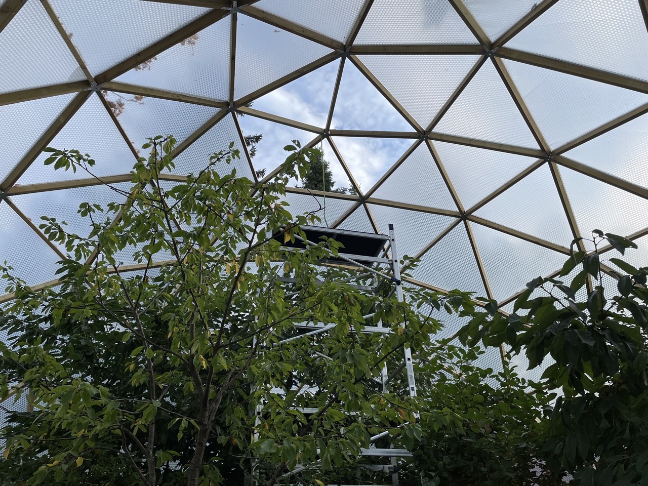 Kupolväxthus till frukt och bär