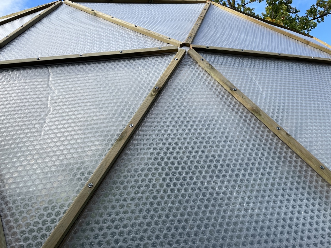 Kupolväxthus till frukt och bär