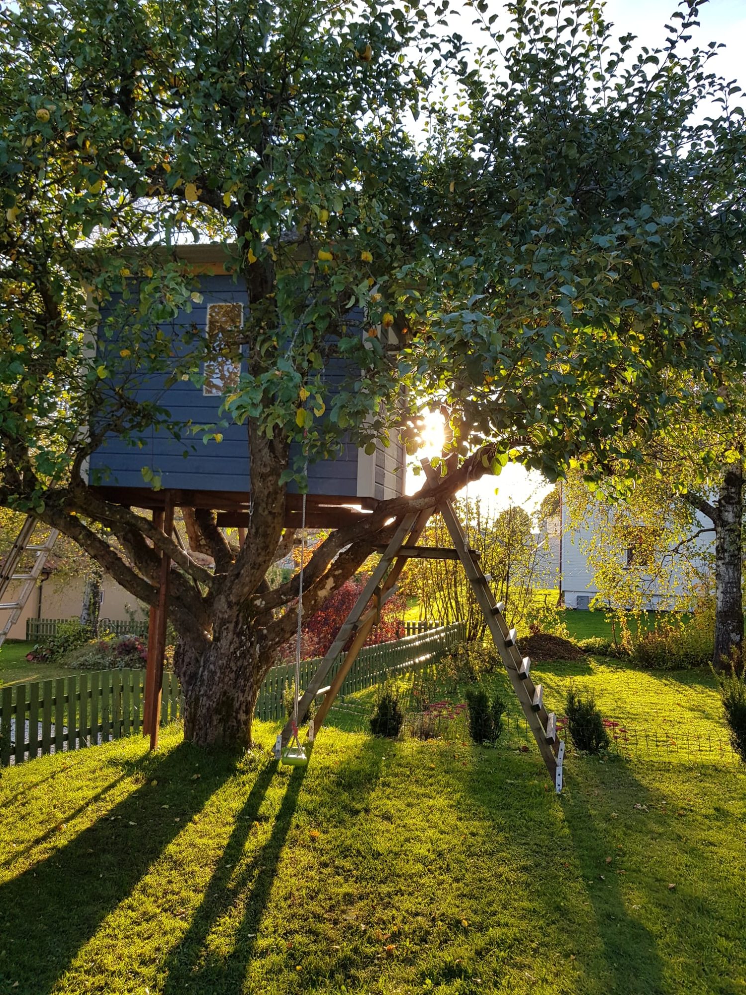 Träkoja överst i ett äppleträd