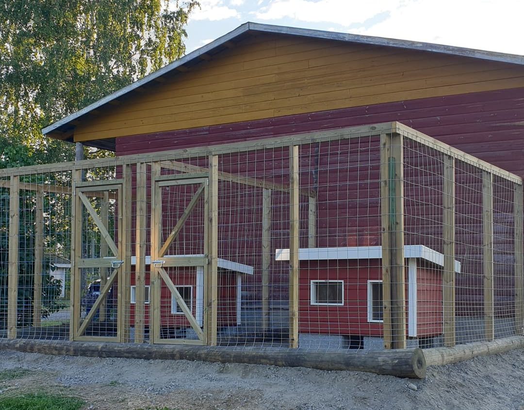 Koirankopin päivitys