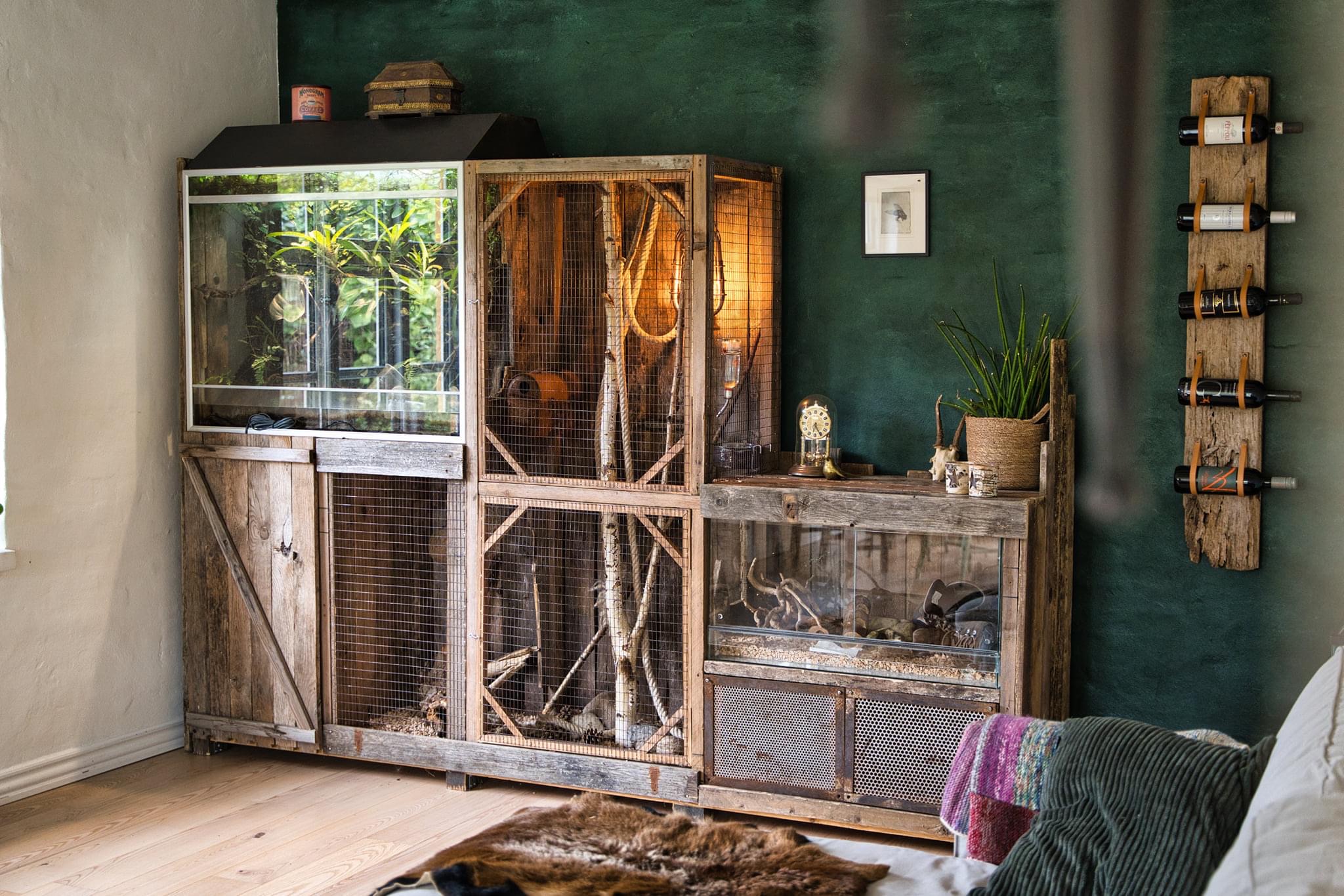 Huonekalu lemmikeille