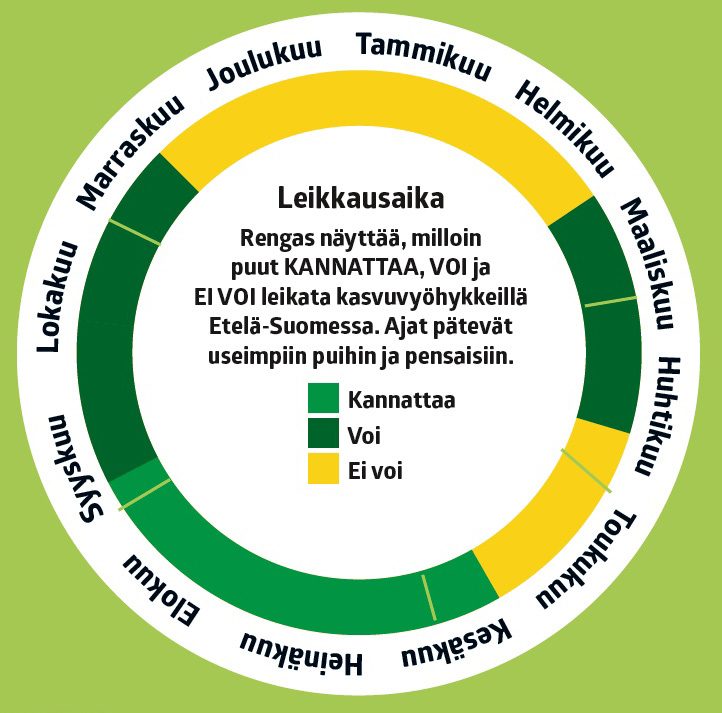 Näin leikkaat puut ja pensaat
