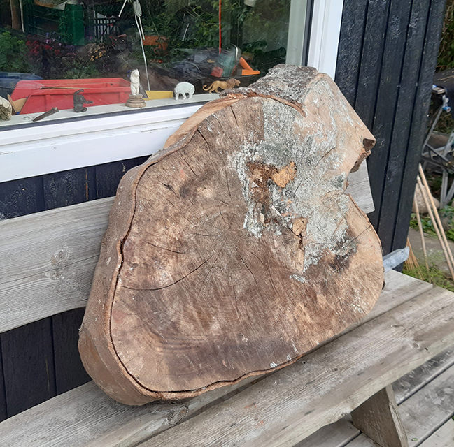 Elguitar af bøgeskive