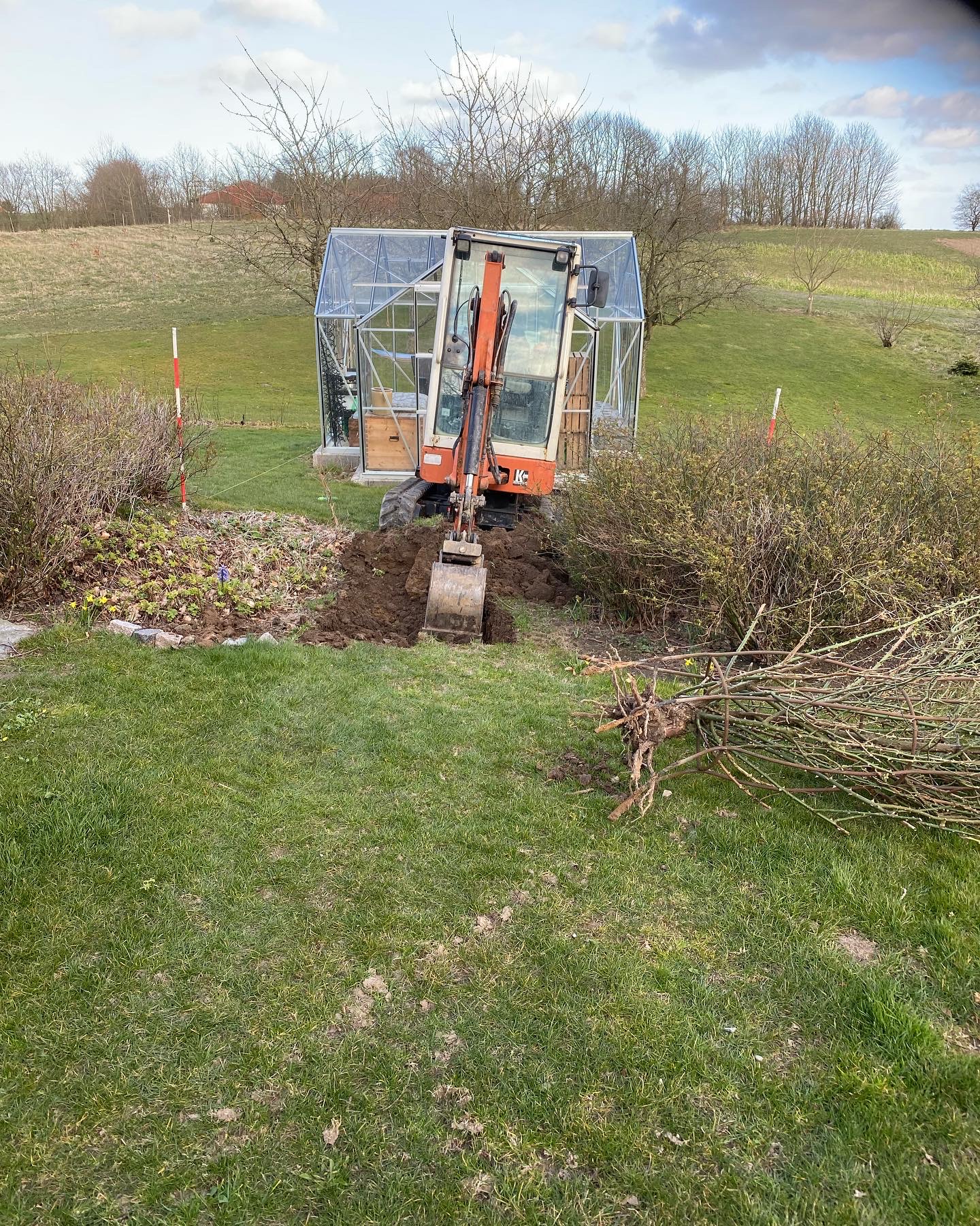 Terrasse i lærketræ
