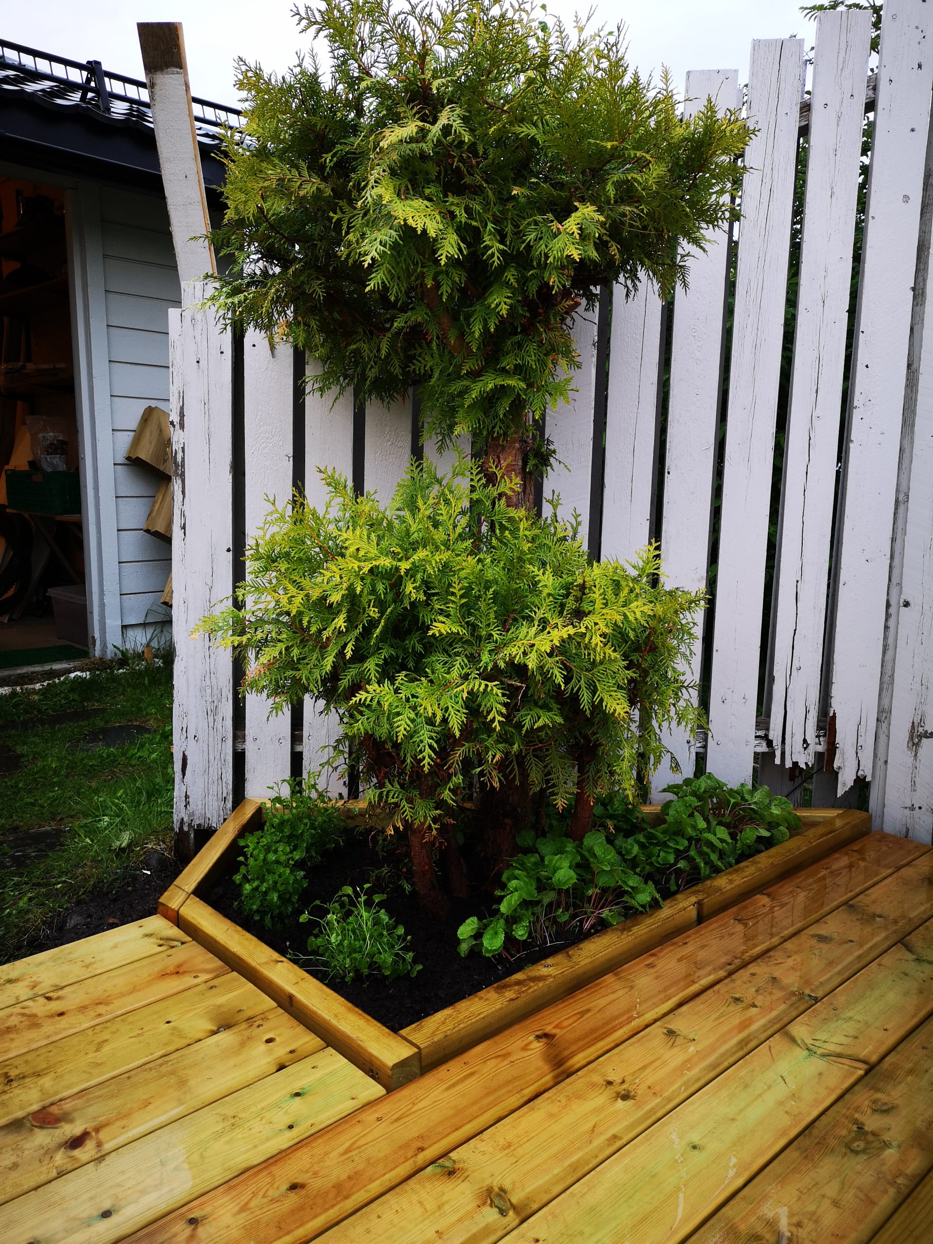 Uusi terassi kukkapenkeillä ja terassilaudoilla