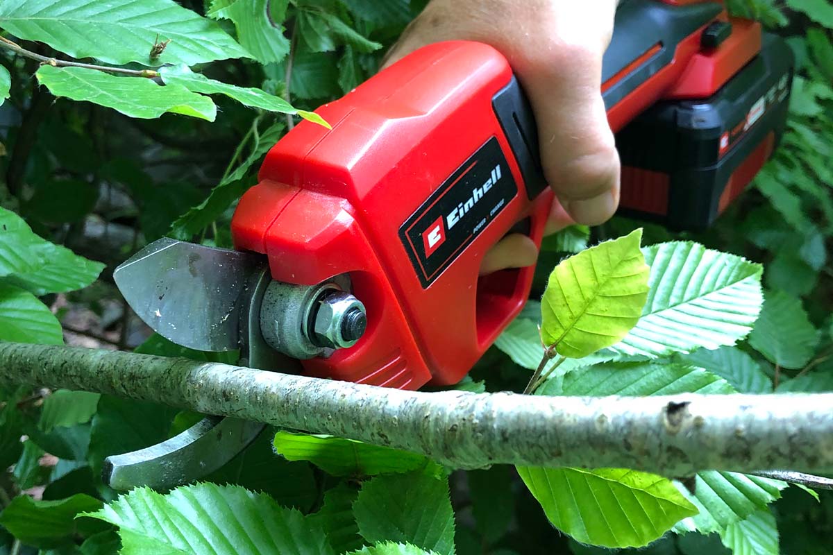 Beskærersaks på batteri