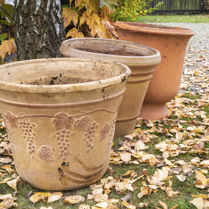 Ta bort jord i krukor