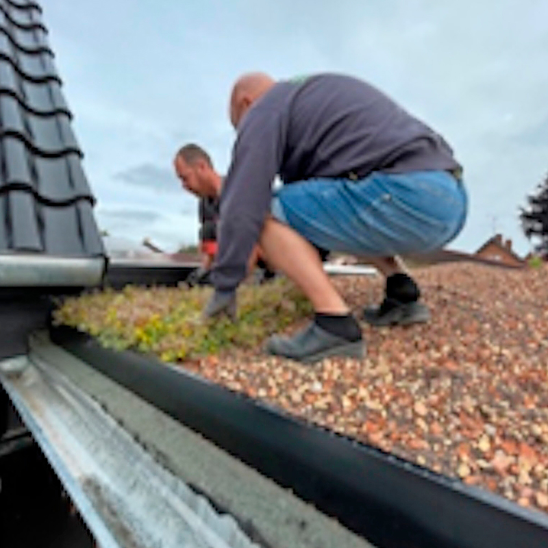 Sedumtag opbygning 4