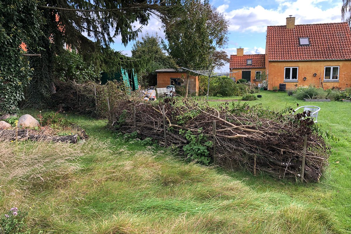 Risstaket i trädgården med gult hus i bakgrunden