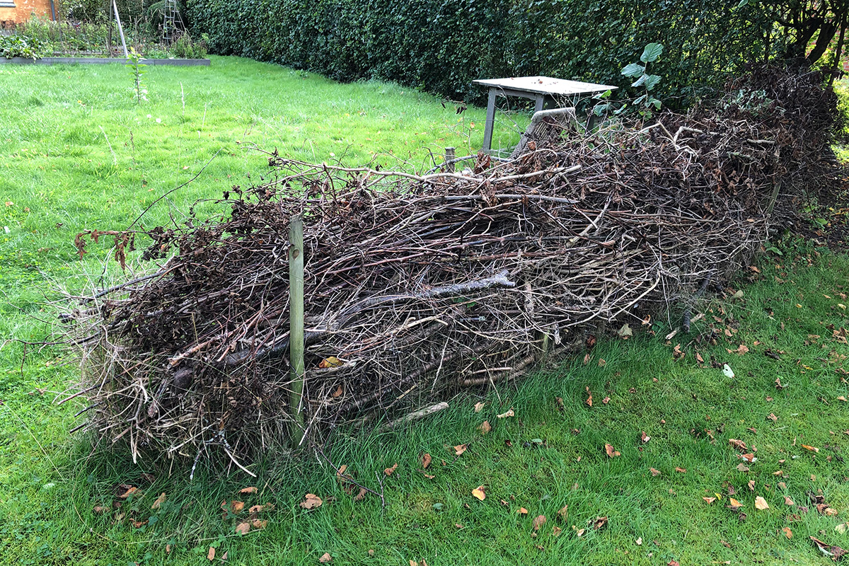 Risstaket i mitten av trädgård.